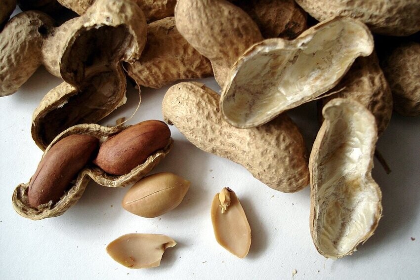 Peanuts (Ground Nuts)